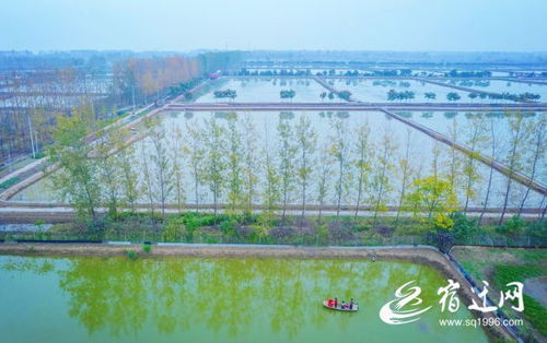 图说丨水产养殖助增收 畜牧渔业饲料
